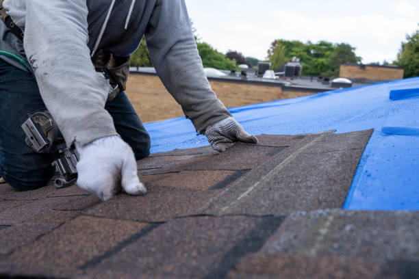 Roof Gutter Cleaning in Forest, MS