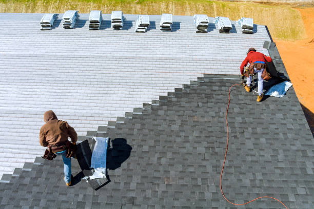 Best Roof Gutter Cleaning  in Forest, MS