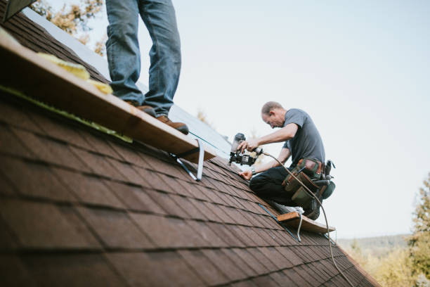 Best Metal Roofing Contractor  in Forest, MS